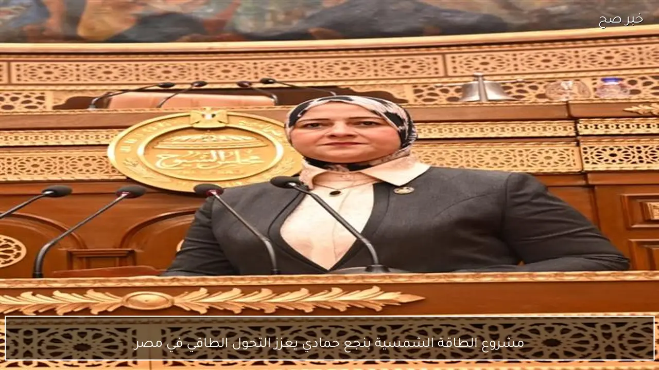 مشروع الطاقة الشمسية بنجع حمادي يعزز التحول الطاقي في مصر