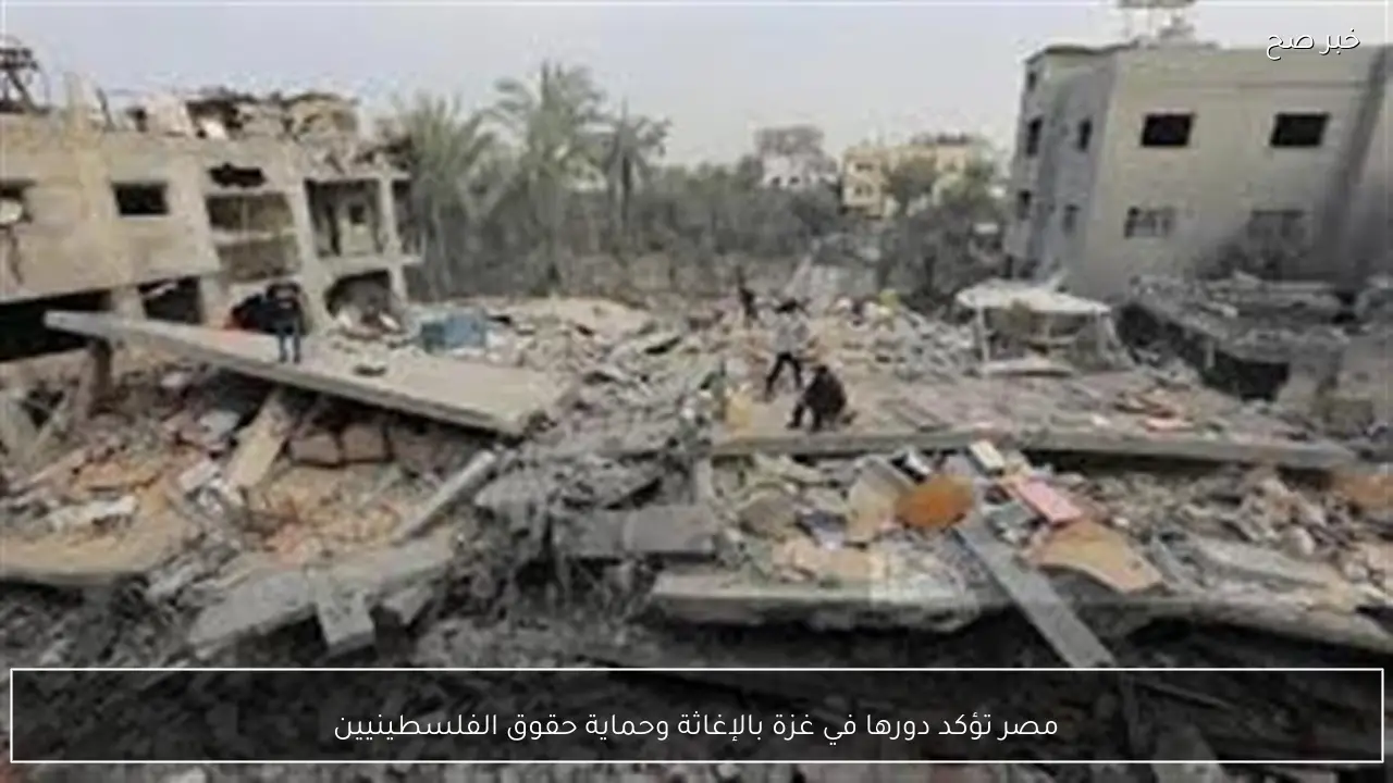 مصر تؤكد دورها في غزة بالإغاثة وحماية حقوق الفلسطينيين