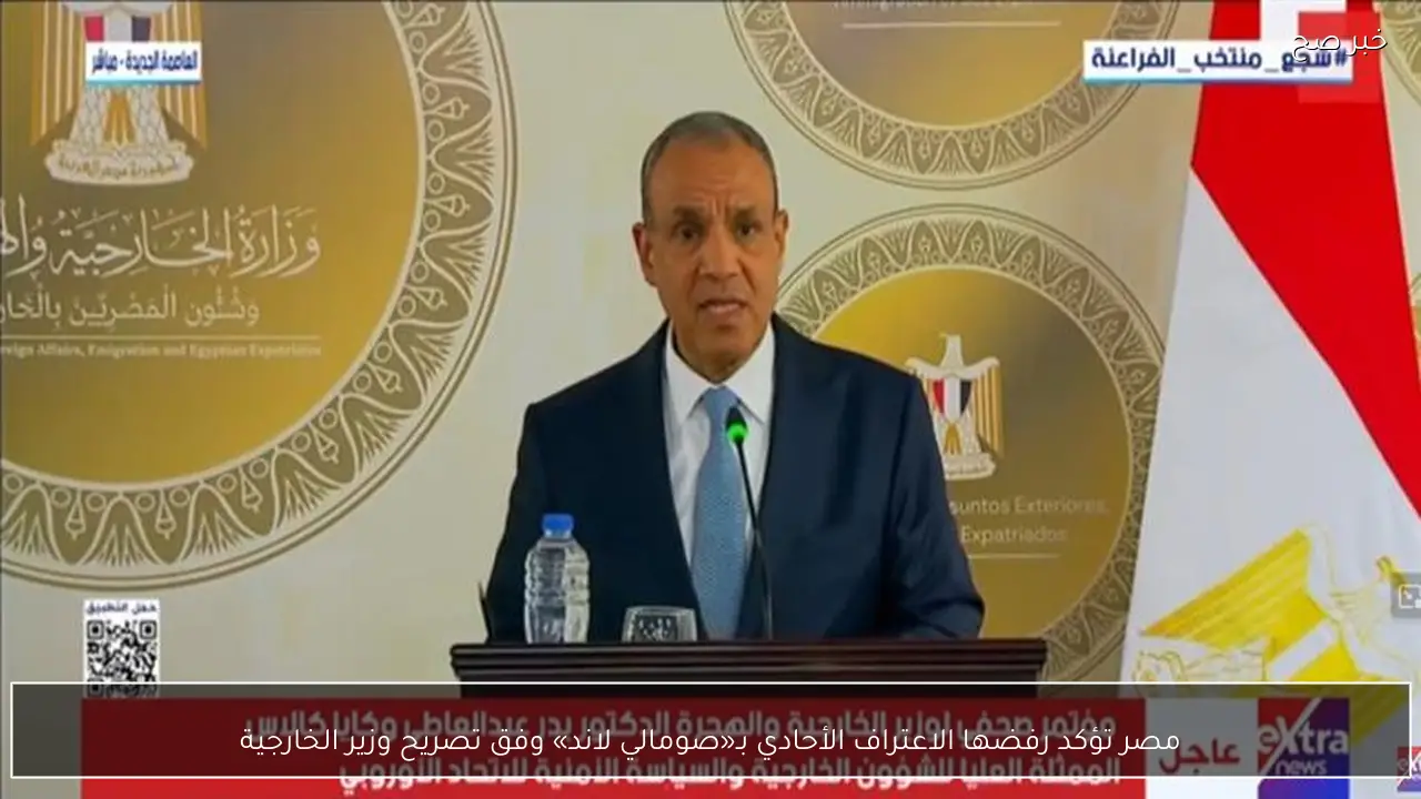 مصر تؤكد رفضها الاعتراف الأحادي بـ«صومالي لاند» وفق تصريح وزير الخارجية