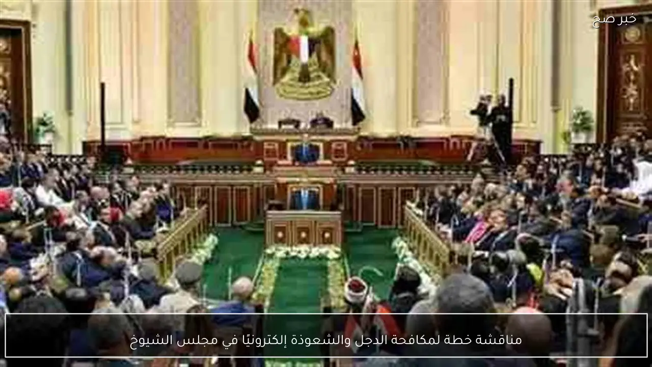 مناقشة خطة لمكافحة الدجل والشعوذة إلكترونيًا في مجلس الشيوخ