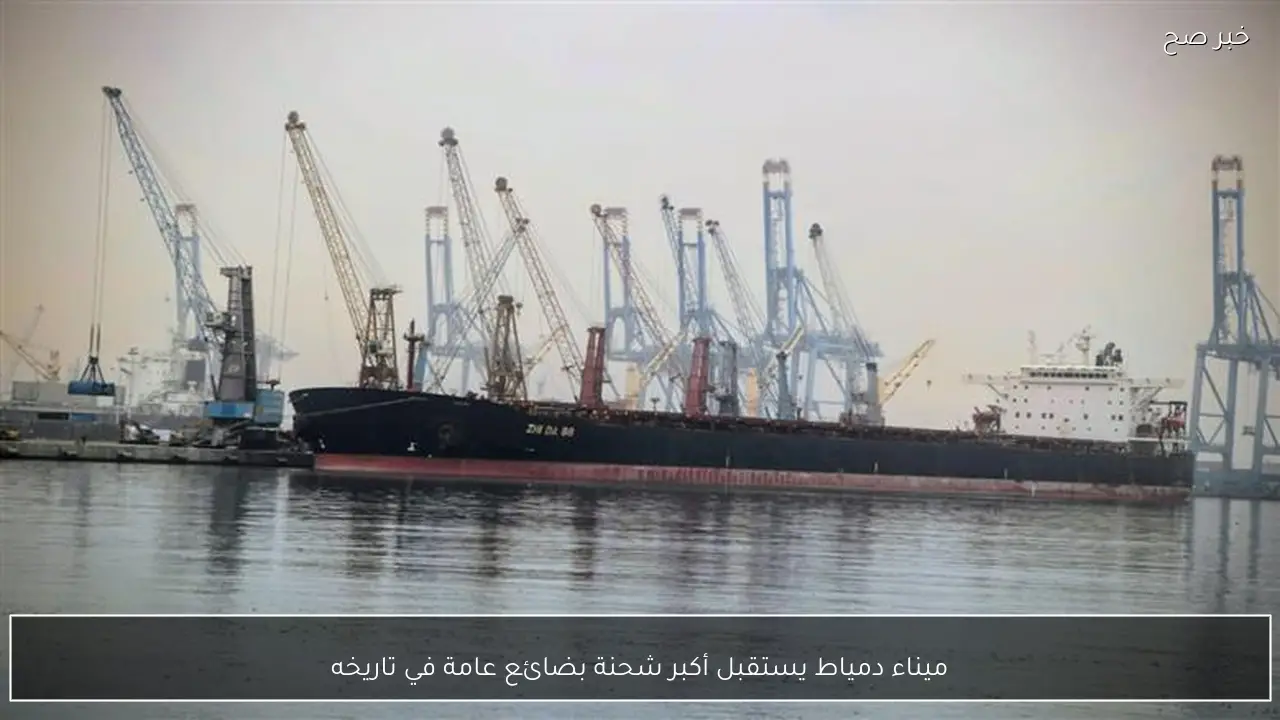 ميناء دمياط يستقبل أكبر شحنة بضائع عامة في تاريخه