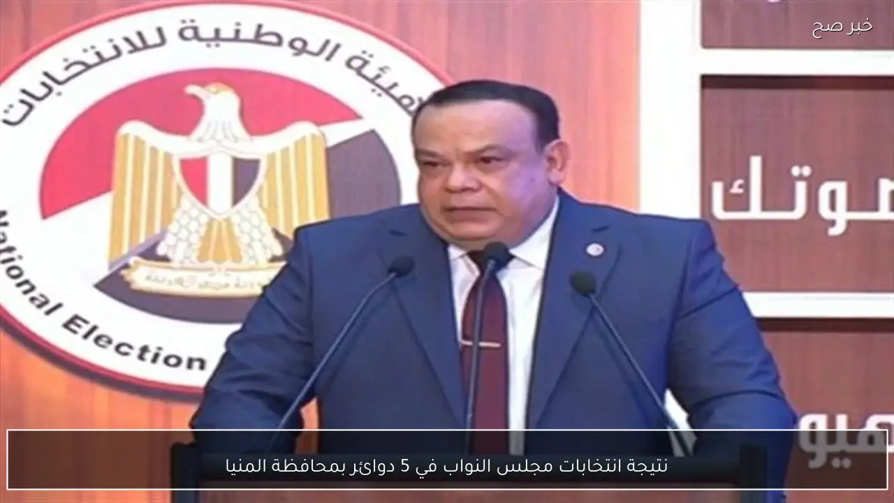 نتيجة انتخابات مجلس النواب في 5 دوائر بمحافظة المنيا