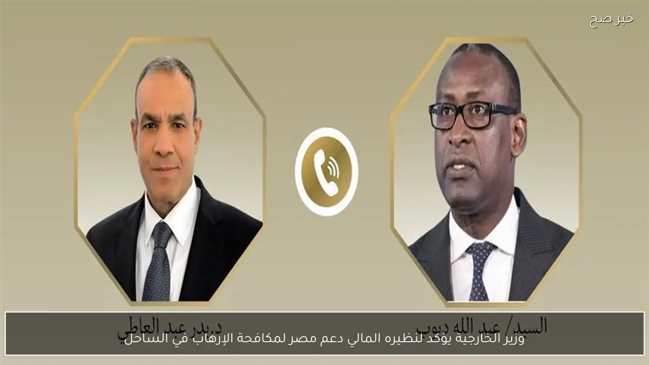 وزير الخارجية يؤكد لنظيره المالي دعم مصر لمكافحة الإرهاب في الساحل