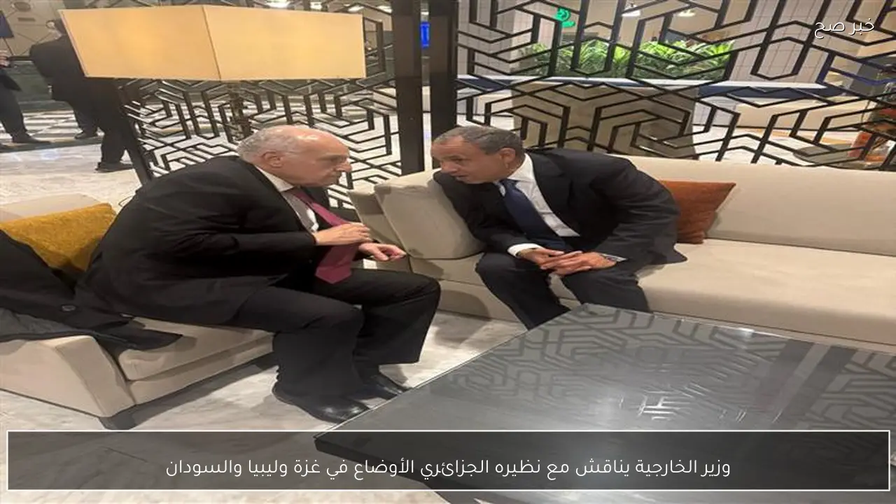 وزير الخارجية يناقش مع نظيره الجزائري الأوضاع في غزة وليبيا والسودان