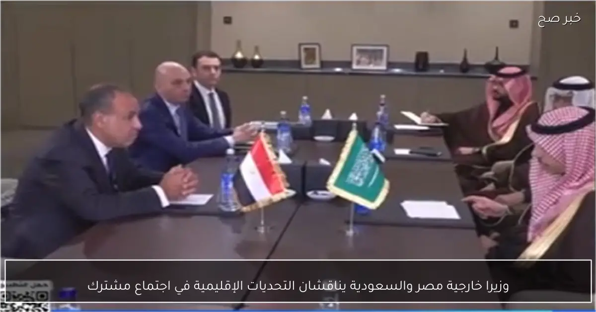 وزيرا خارجية مصر والسعودية يناقشان التحديات الإقليمية في اجتماع مشترك