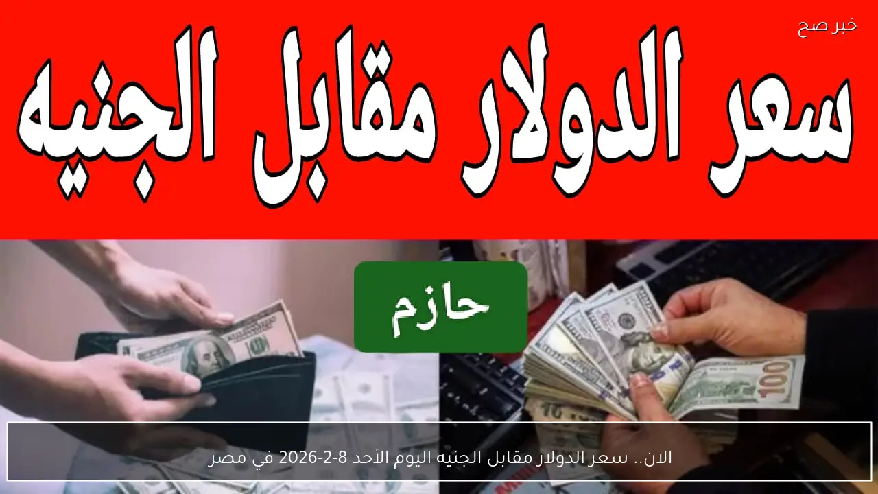 الان.. سعر الدولار مقابل الجنيه اليوم الأحد 8-2-2026 في مصر 