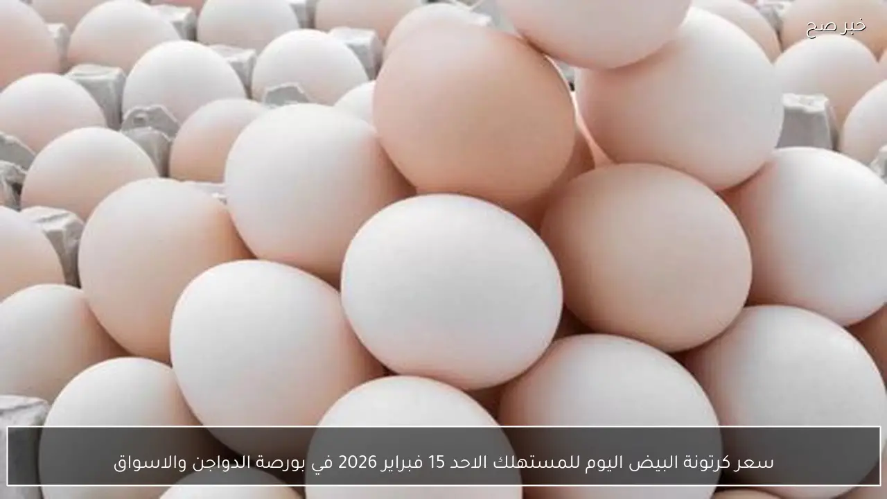 سعر كرتونة البيض اليوم للمستهلك الاحد 15 فبراير 2026 في بورصة الدواجن والاسواق
