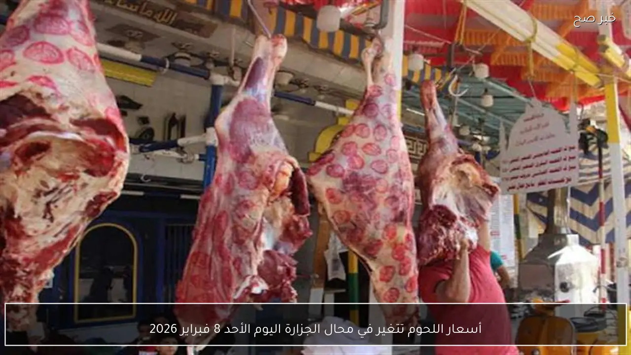 أسعار اللحوم تتغير في محال الجزارة اليوم الأحد 8 فبراير 2026