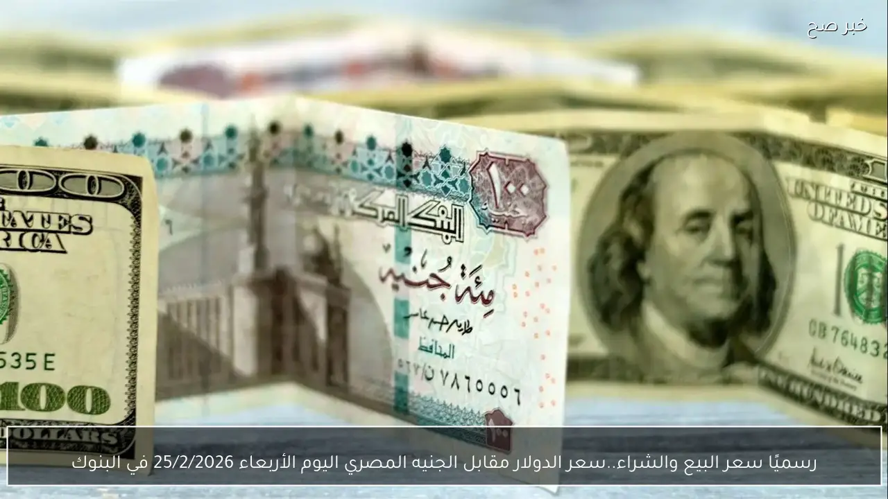 رسميًا سعر البيع والشراء..سعر الدولار مقابل الجنيه المصري اليوم الأربعاء 25/2/2026 في البنوك