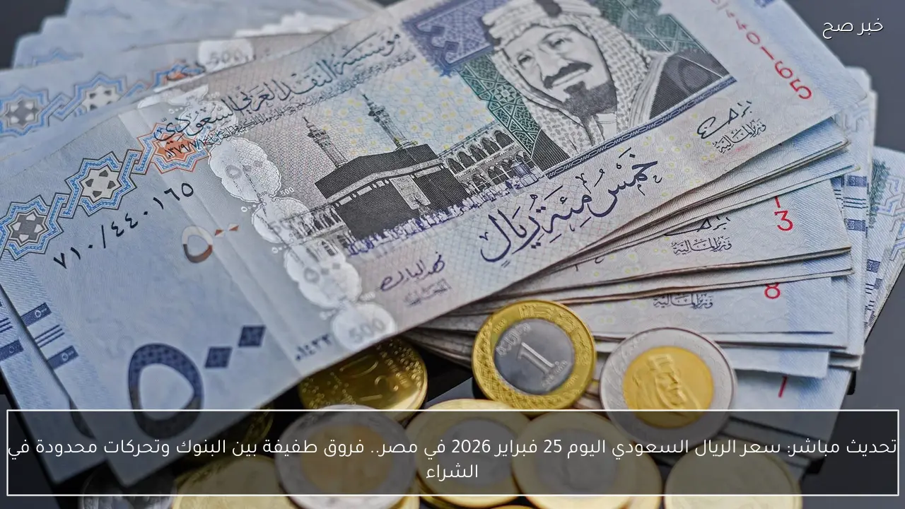 تحديث مباشر: سعر الريال السعودي اليوم 25 فبراير 2026 في مصر.. فروق طفيفة بين البنوك وتحركات محدودة في الشراء