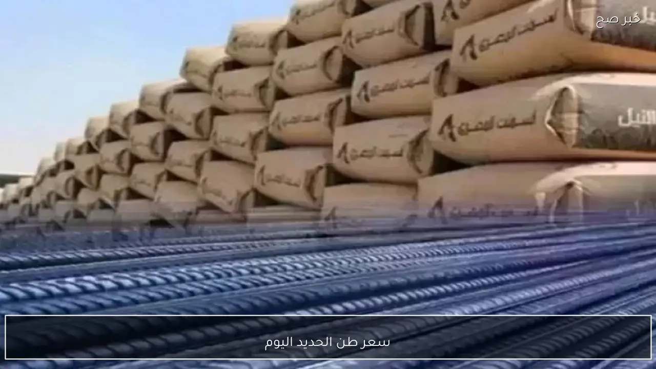 لو هتبني.. سعر طن الحديد اليوم السبت 21 فبراير 2026 بالمصانع والشركات الكبري