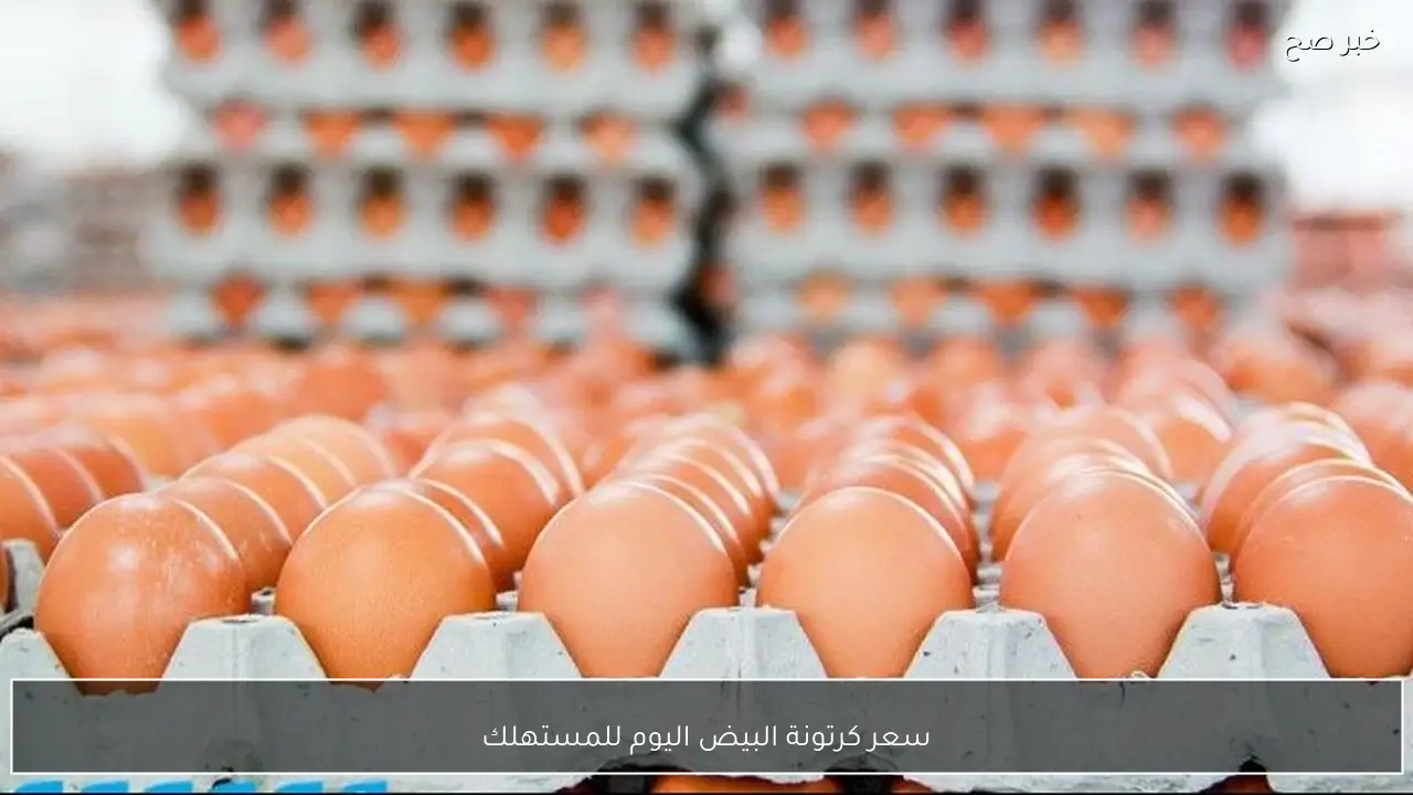 سعر كرتونة البيض اليوم للمستهلك الخميس 5 فبراير 2026 بالاسواق المحلية وفق آخر تحديث
