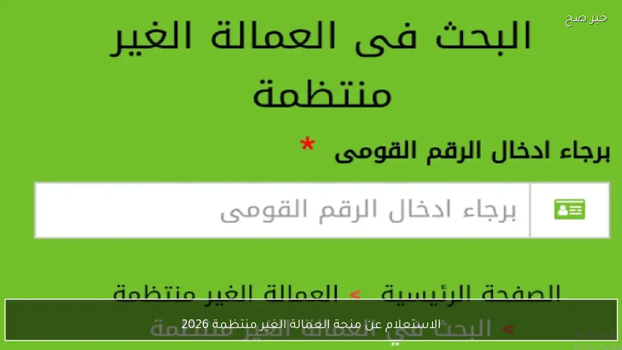 بعد صرف منحة رمضان.. رابط الاستعلام عن منحة العمالة الغير منتظمة 2026 بالرقم القومي