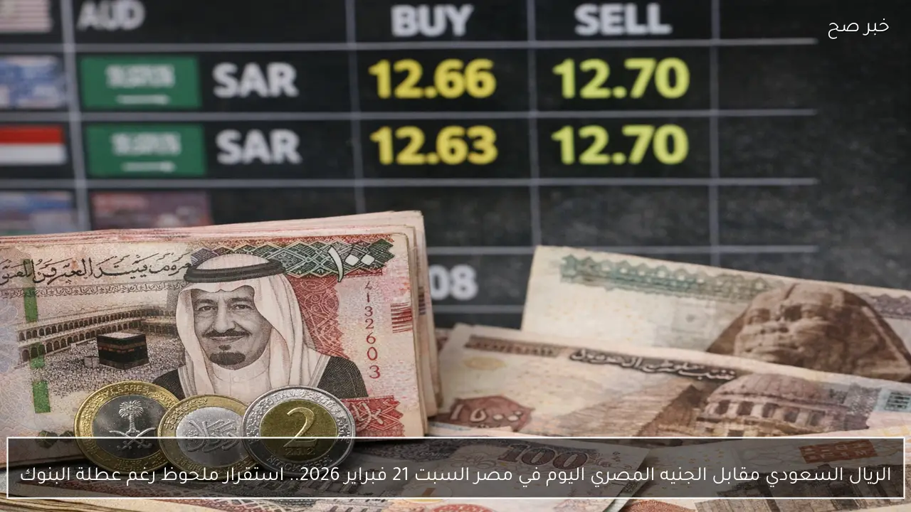 الريال السعودي مقابل الجنيه المصري اليوم في مصر السبت 21 فبراير 2026.. استقرار ملحوظ رغم عطلة البنوك