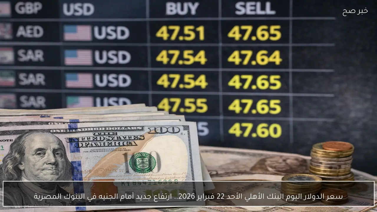 سعر الدولار اليوم البنك الأهلي الأحد 22 فبراير 2026.. ارتفاع جديد أمام الجنيه في البنوك المصرية