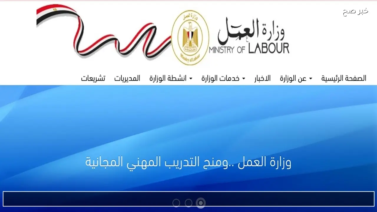 برقمك القومي .. رابط تسجيل بيانات العمالة غير المنتظمة www manpower gov eg 2026 وزارة العمل