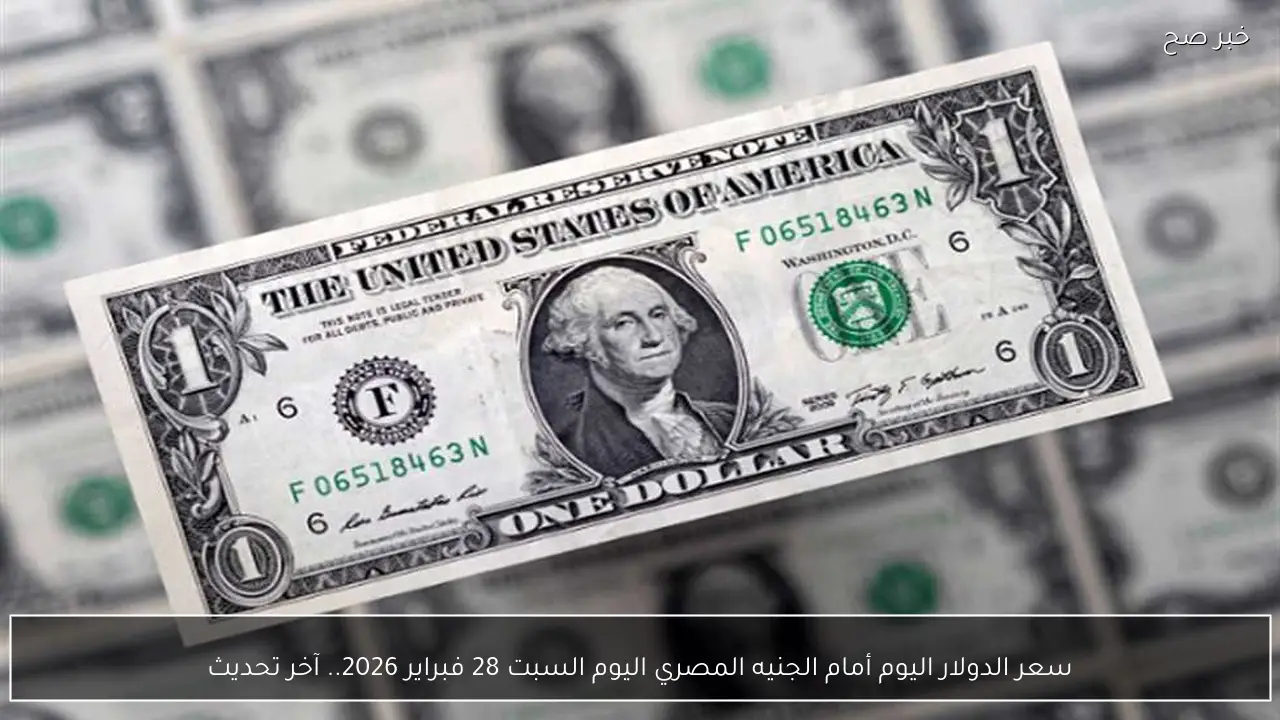 سعر الدولار اليوم أمام الجنيه المصري اليوم السبت 28 فبراير 2026.. آخر تحديث