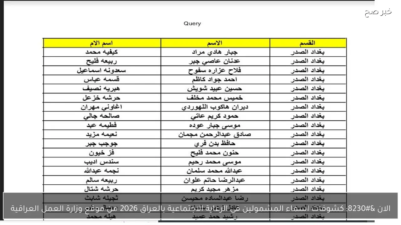 الان … كشوفات اسماء المشمولين فى الرعاية الاجتماعية بالعراق 2026 من موقع وزارة العمل العراقية
