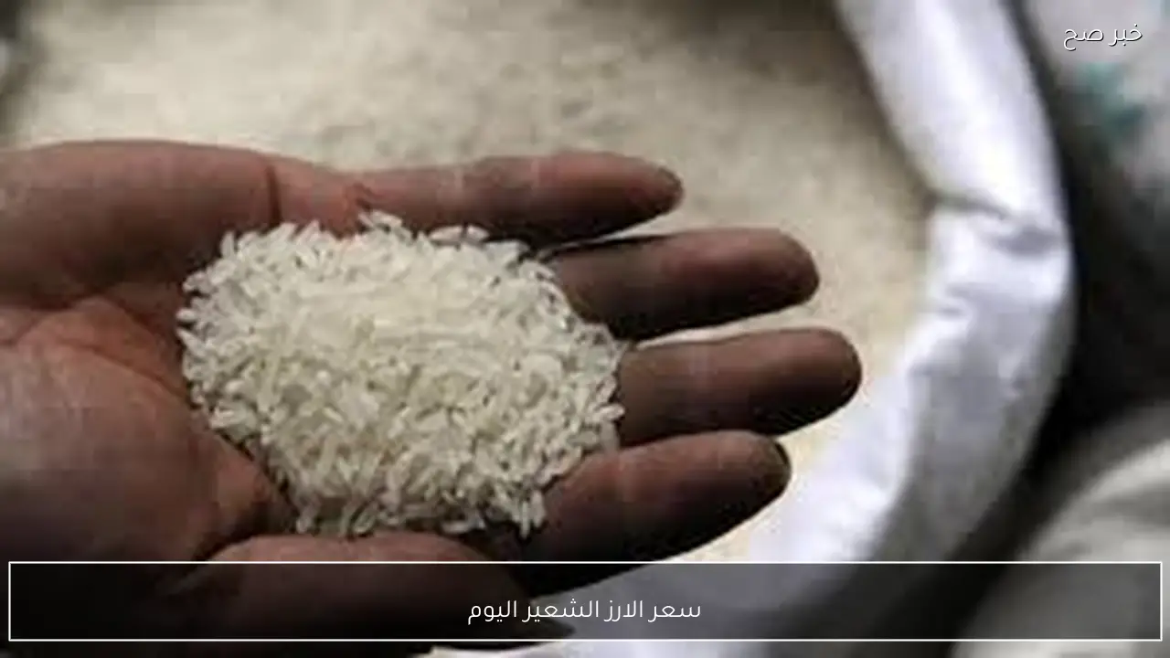 سعر الارز الشعير اليوم الاحد 1 فبراير 2026 في كافة الاسواق المصرية وفق آخر تحديث