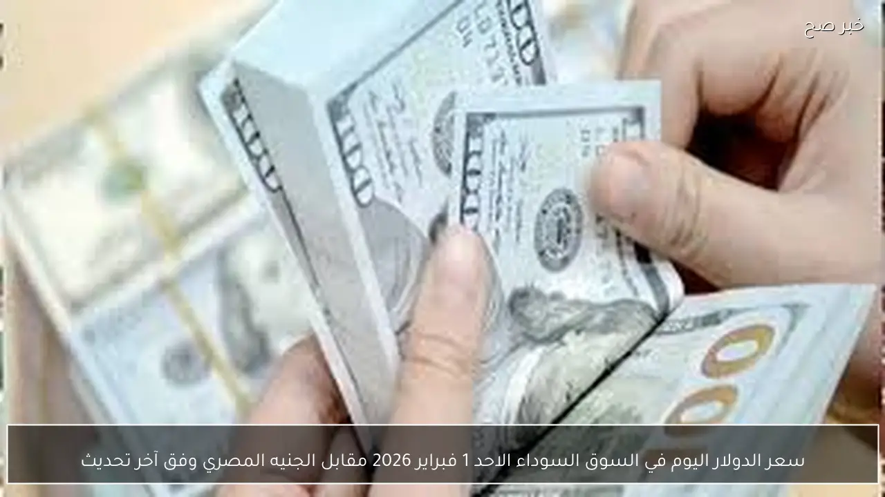 سعر الدولار اليوم في السوق السوداء الاحد 1 فبراير 2026 مقابل الجنيه المصري وفق آخر تحديث