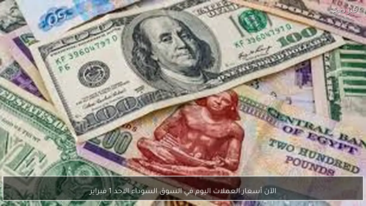 الآن أسعار العملات اليوم في السوق السوداء الاحد 1 فبراير 2026 مقابل الجنيه المصري بيع وشراء