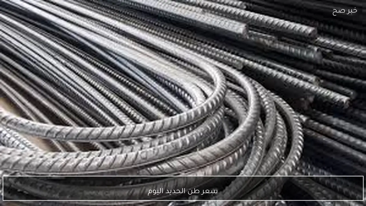 سعر طن الحديد اليوم الاثنين 2 فبراير 2026 في كافة الاسواق المصرية بآخر تحديث