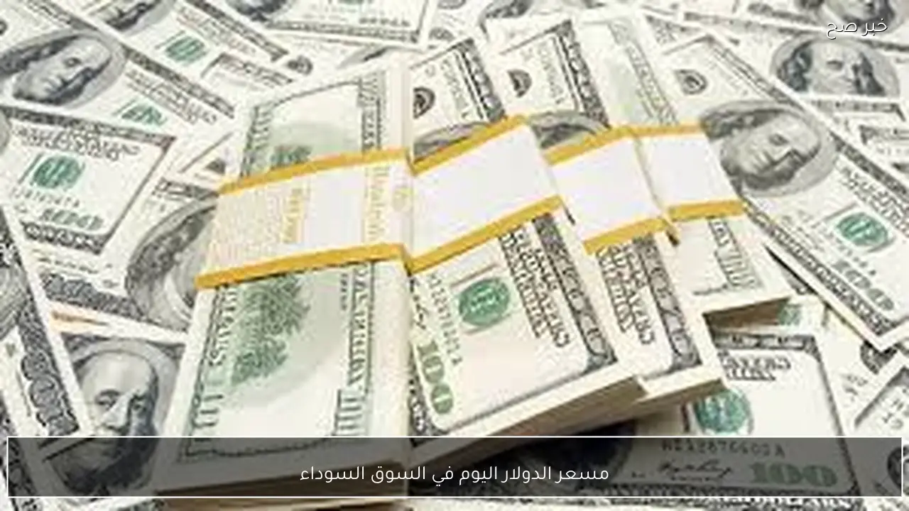 مباشر الآن.. سعر الدولار اليوم في السوق السوداء الاربعاء 4-2-2026 مقابل الجنيه المصري بيع وشراء