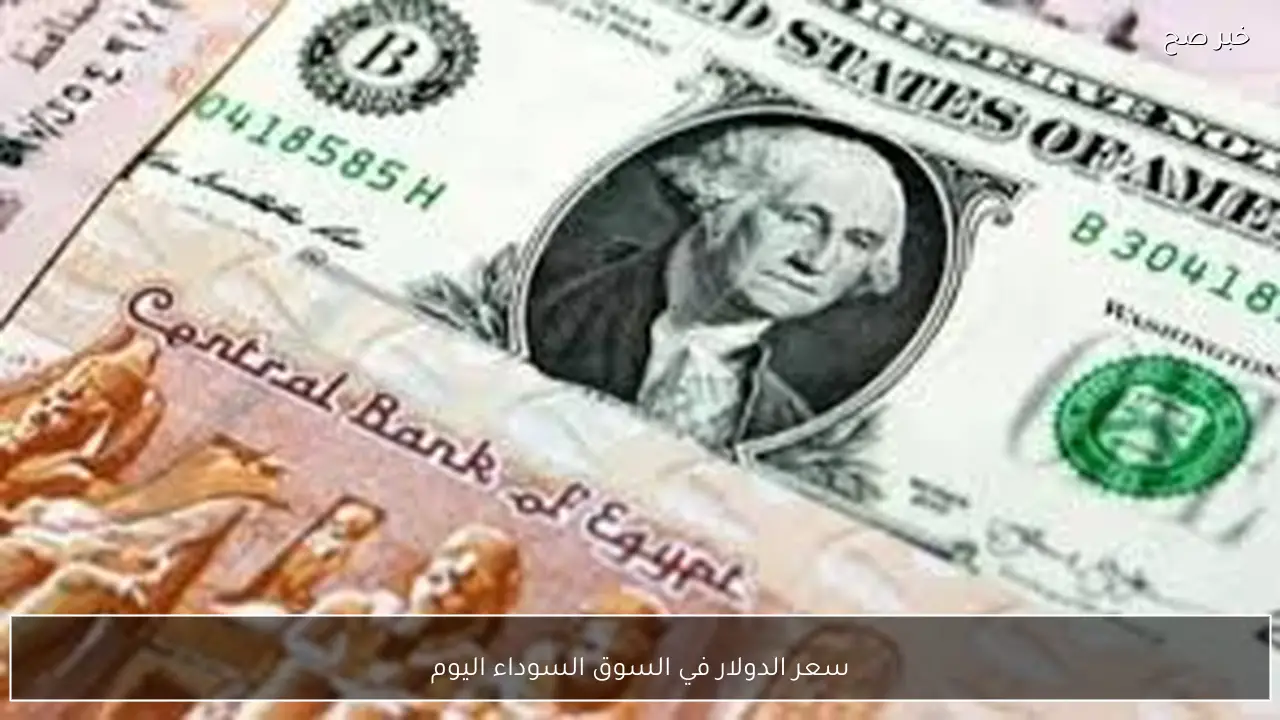 سعر الدولار في السوق السوداء اليوم الخميس 5 فبراير 2026 مقابل الجنيه المصري.. تحديث جديد بيع وشراء