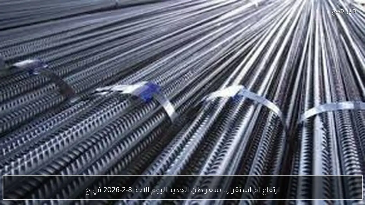 ارتفاع ام استقرار.. سعر طن الحديد اليوم الاحد 8-2-2026 في جميع الاسواق المصرية