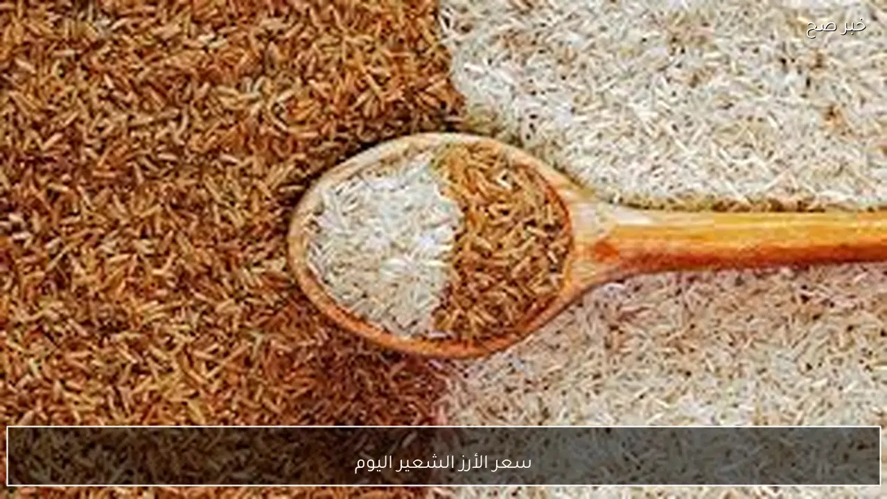 تحديث يومي.. سعر الأرز الشعير اليوم الاثنين 9 فبراير 2026 في كافة الأسواق المصرية