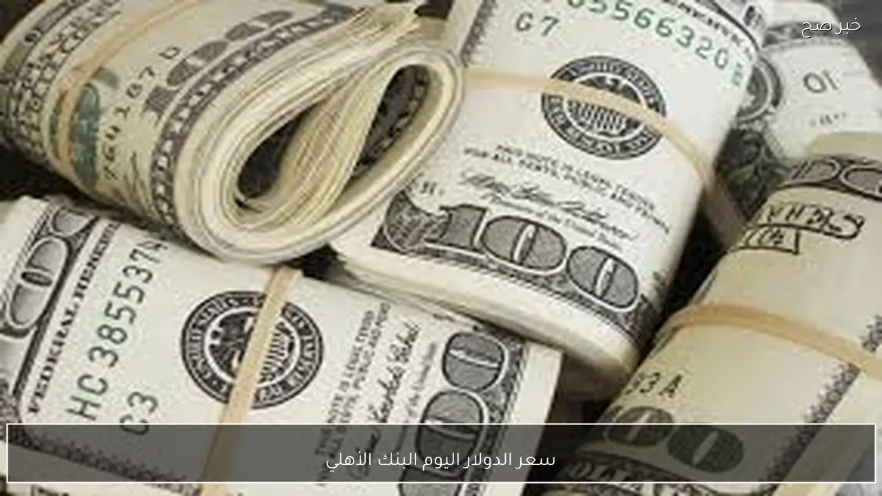 تحديث مباشر.. سعر الدولار اليوم البنك الأهلي الثلاثاء 10-2-2026 مقابل الجنيه المصري بيع وشراء