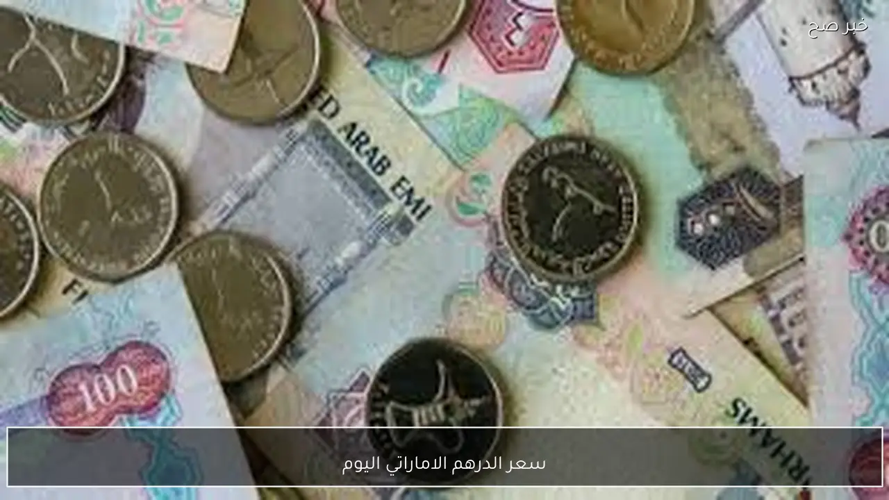 استقرار نسبي في سعر الدرهم الاماراتي اليوم الثلاثاء 10-2-2026 مقابل الجنيه المصري بالبنوك