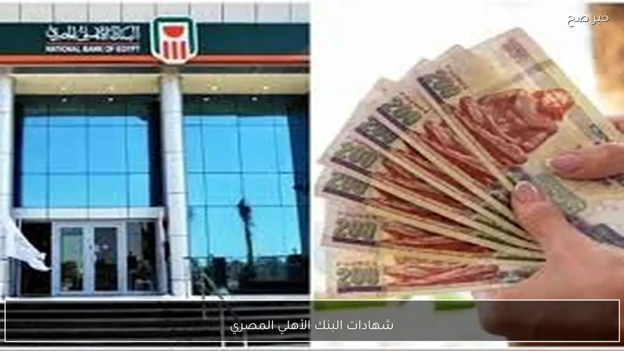 شهادات البنك الأهلي المصري 2026.. استثمر بأمان وكسب مضمون شهريًا