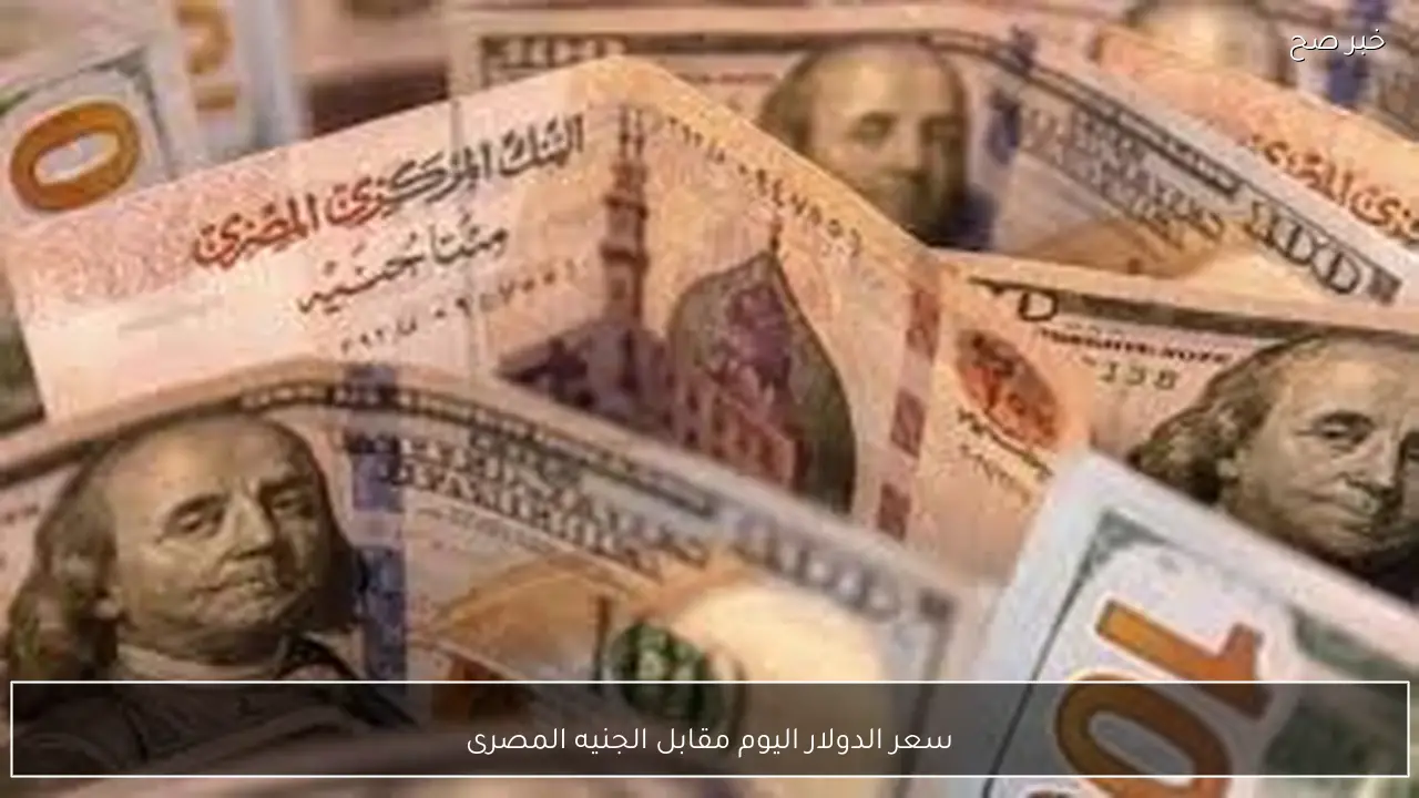 ارتفاع ام استقرار.. سعر الدولار اليوم مقابل الجنيه المصرى في البنوك والسوق السوداء