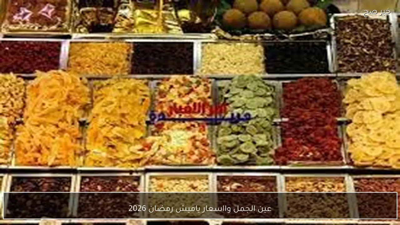 قائمة اسعار ياميش رمضان 2026 في الاسواق والمجمعات الاستهلاكية.. (عين الجمل – جوز هند – قمر الدين)