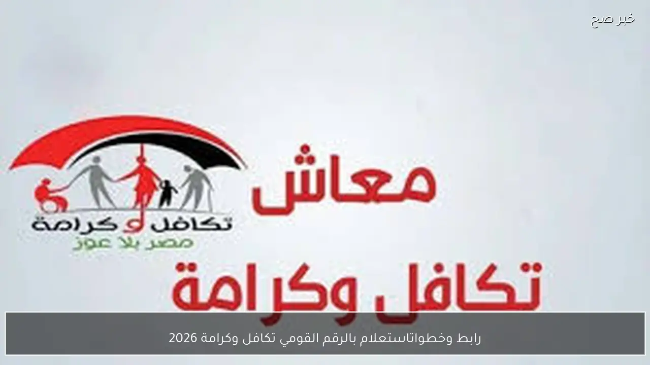 رابط وخطوات استعلام بالرقم القومي تكافل وكرامة 2026 عبر موقع وزارة التضامن الاجتماعي