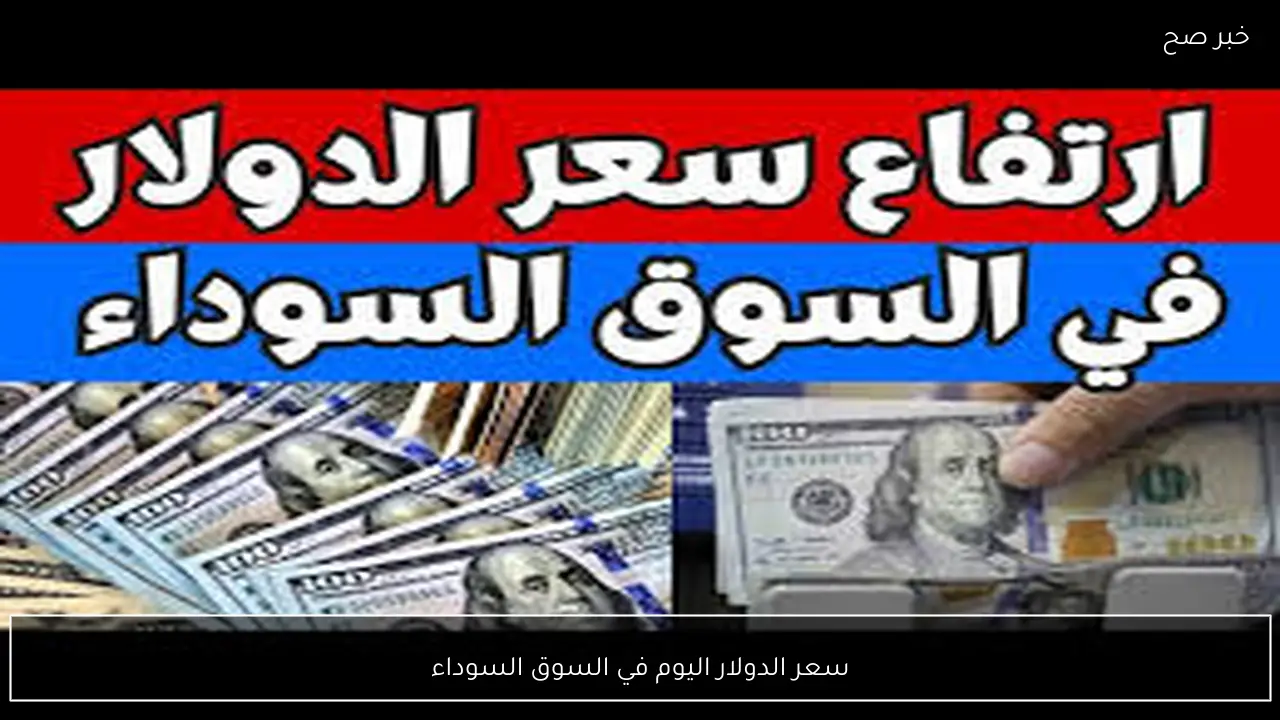 100 دولار بكام؟.. سعر الدولار اليوم في السوق السوداء الثلاثاء 24 فبراير 2026 مقابل الجنيه المصري