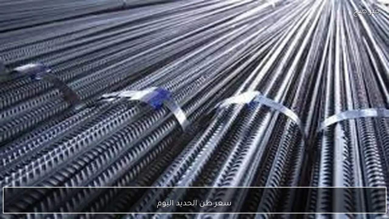 تباين سعر طن الحديد اليوم الخميس 26 فبراير 2026 في المصانع والشركات المصرية