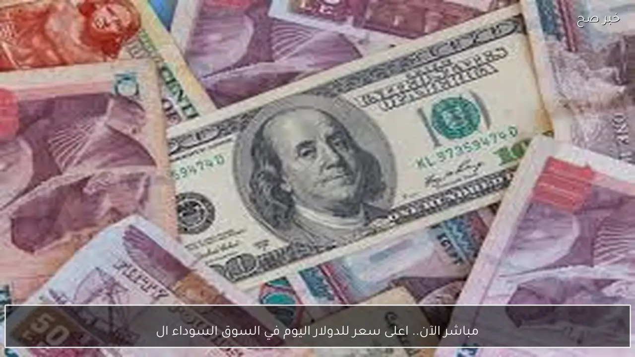 مباشر الآن.. اعلى سعر للدولار اليوم في السوق السوداء الخميس 26-2-2026 مقابل الجنيه المصري بيع وشراء