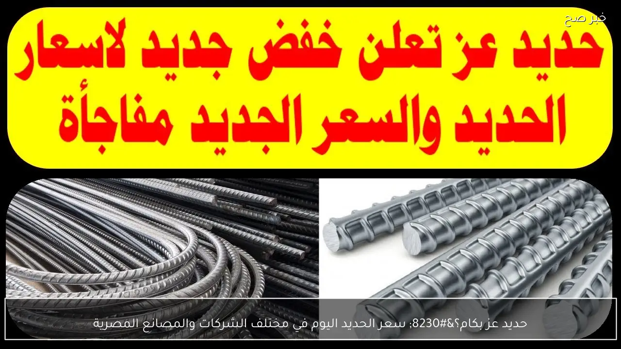 حديد عز بكام؟… سعر الحديد اليوم في مختلف الشركات والمصانع المصرية