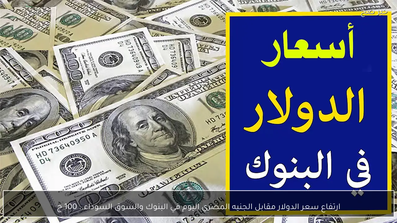 ارتفاع سعر الدولار مقابل الجنيه المصري اليوم في البنوك والسوق السوداء.. 100 دولار كم جنية؟
