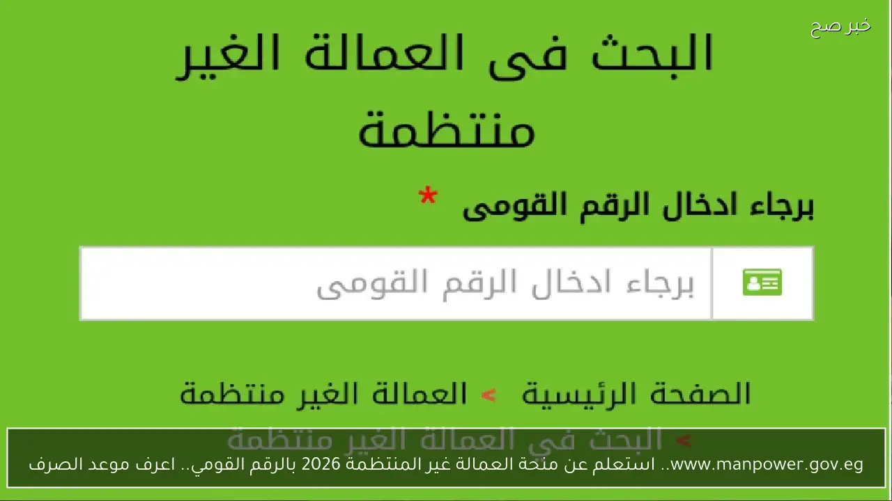www.manpower.gov.eg.. استعلم عن منحة العمالة غير المنتظمة 2026 بالرقم القومي.. اعرف موعد الصرف