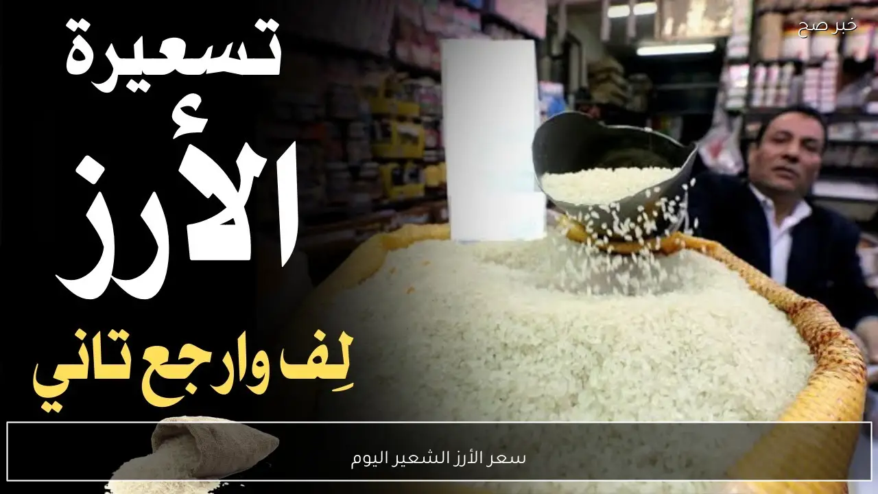 سعر الأرز الشعير اليوم الخميس 19 فبراير 2026 في الاسواق والمضارب المصرية (عريض رفيع)