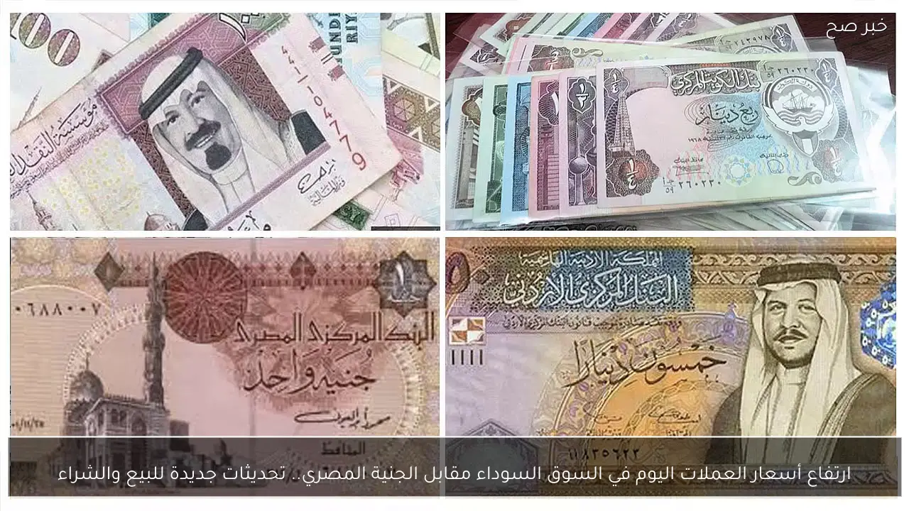ارتفاع ‏أسعار العملات اليوم في السوق السوداء مقابل الجنية المصري.. تحديثات جديدة للبيع والشراء