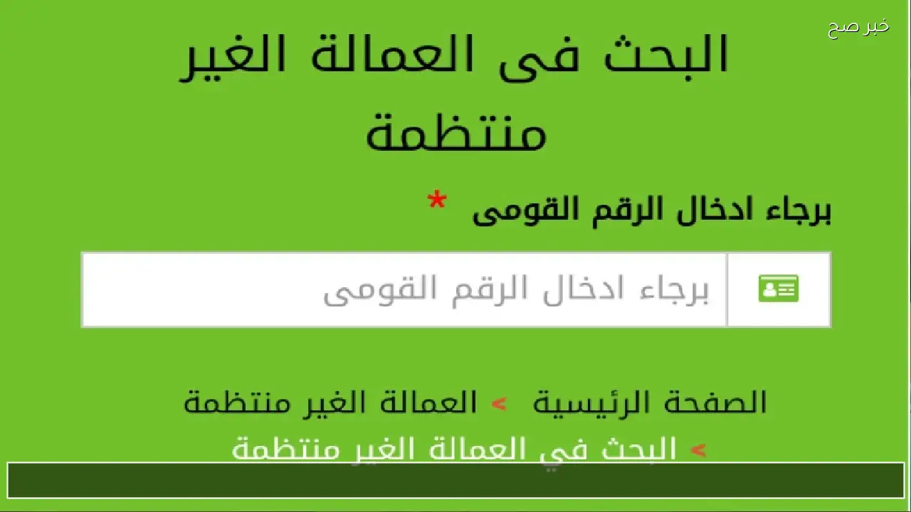بالرقم القومي.. منحة العمالة غير المنتظمة 2026 manpower.gov.eg وخطوات الاستعلام وشروط الحصول على دعم رمضان