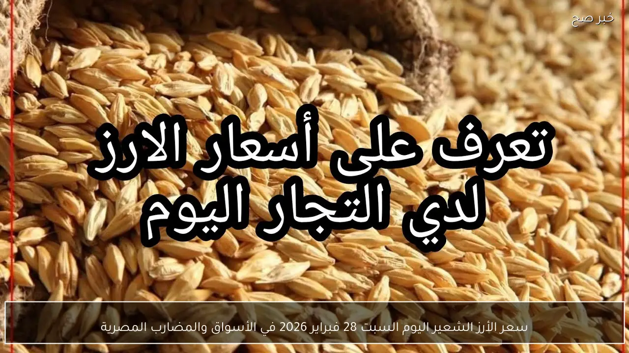 الطن بكام؟.. سعر الأرز الشعير اليوم السبت 28 فبراير 2026 في الأسواق والمضارب المصرية