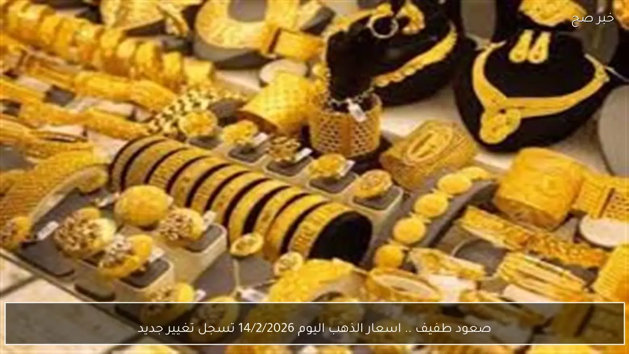 صعود طفيف .. اسعار الذهب اليوم 14/2/2026 تسجل تغيير جديد
