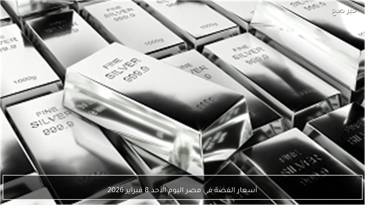 أسعار الفضة في مصر اليوم الأحد 8 فبراير 2026