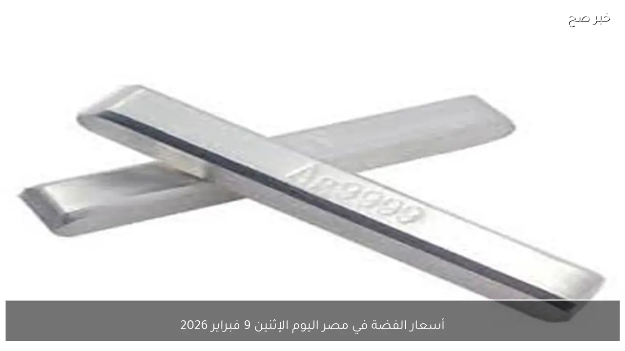 أسعار الفضة في مصر اليوم الإثنين 9 فبراير 2026