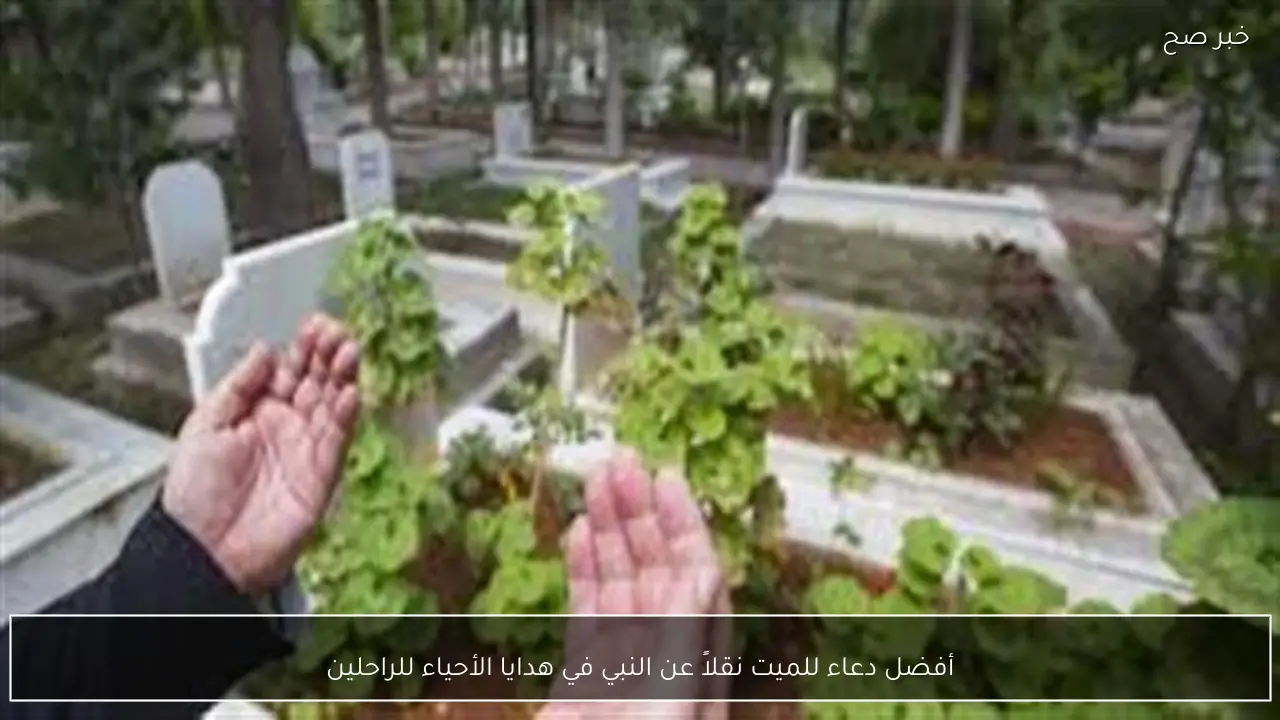 أفضل دعاء للميت نقلاً عن النبي في هدايا الأحياء للراحلين